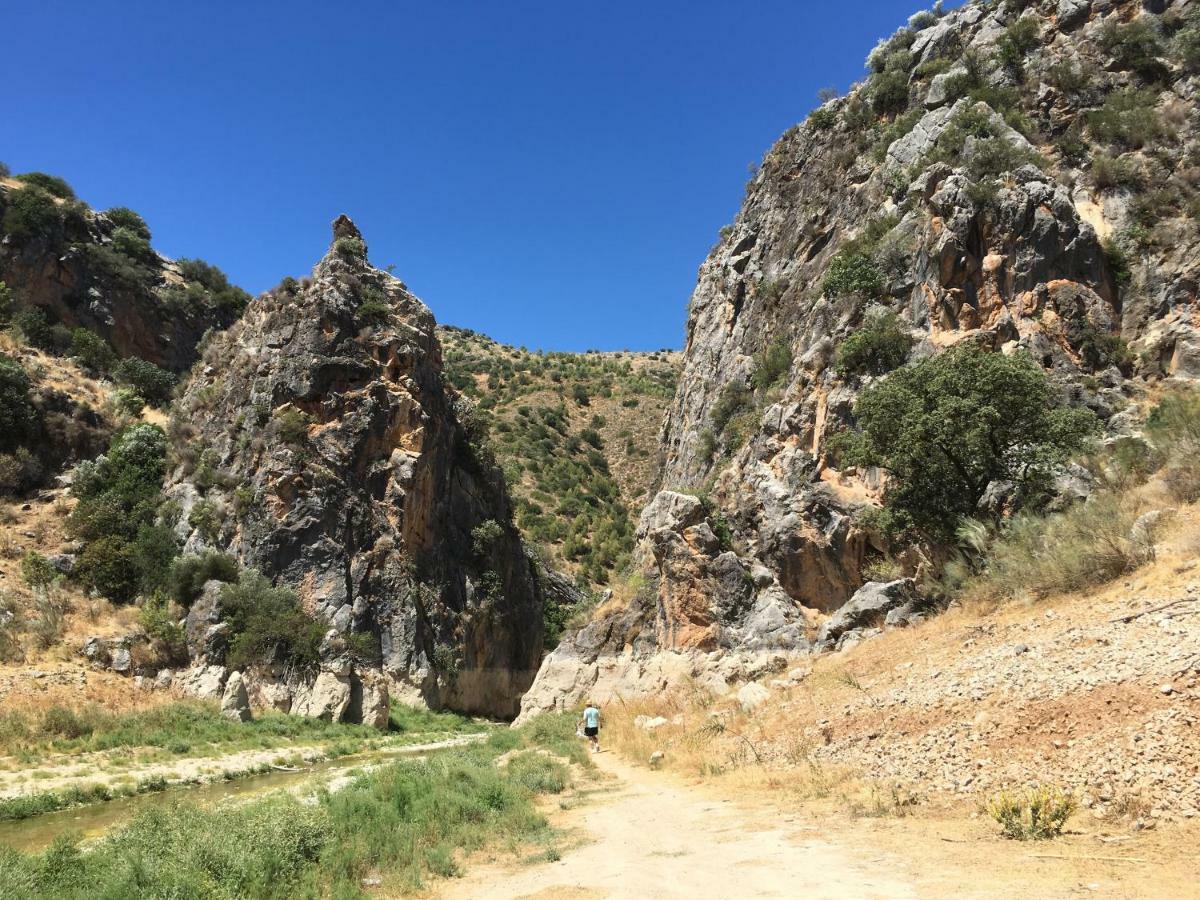 Willa La Casita, Zagra La Carrera de la Viña Zewnętrze zdjęcie