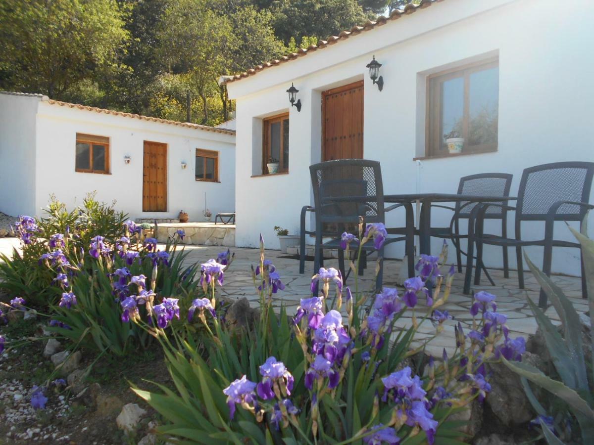 Willa La Casita, Zagra La Carrera de la Viña Zewnętrze zdjęcie